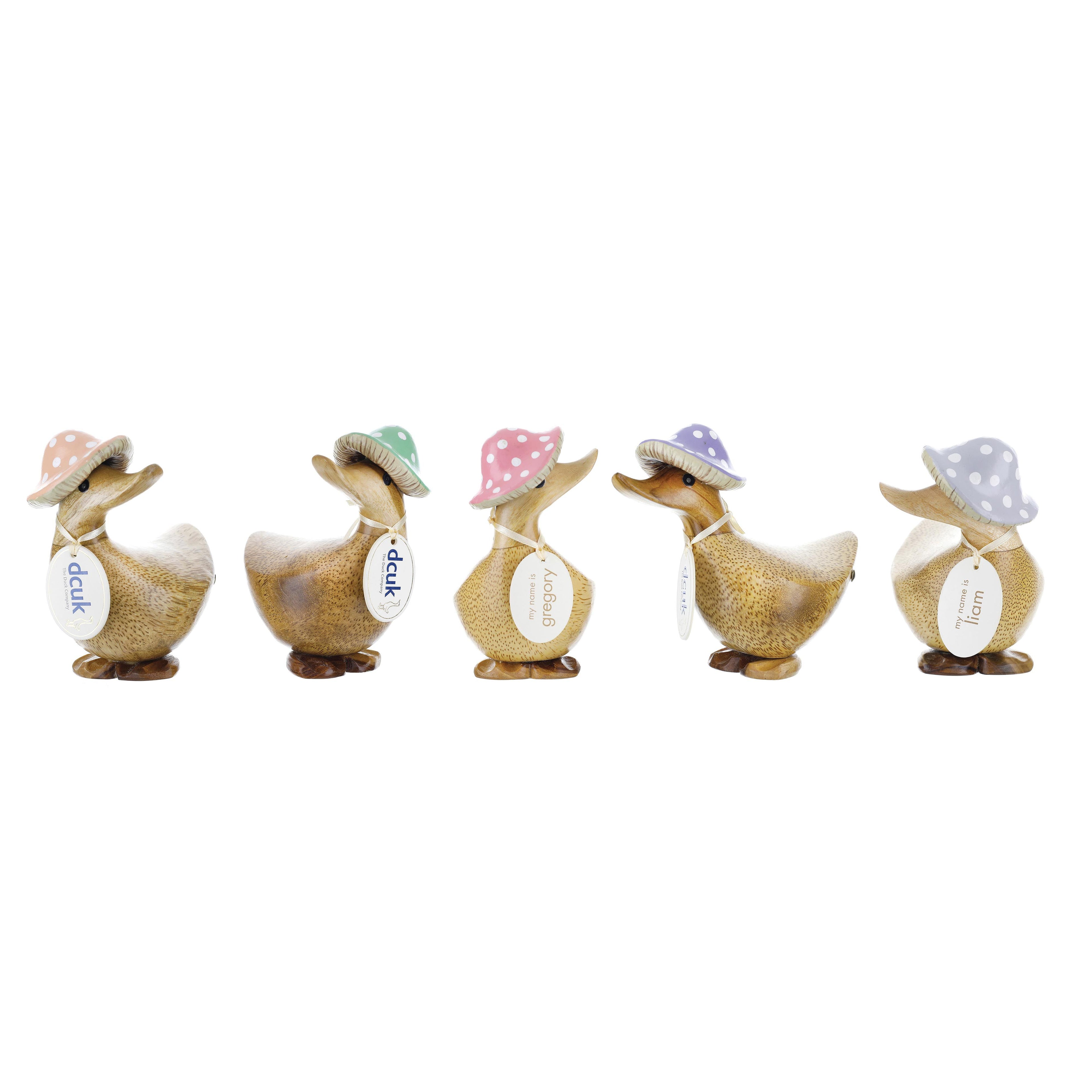 DCUK TOADSTOOL FOLK DUCKY ASSORTED 13X8X11CM (each)