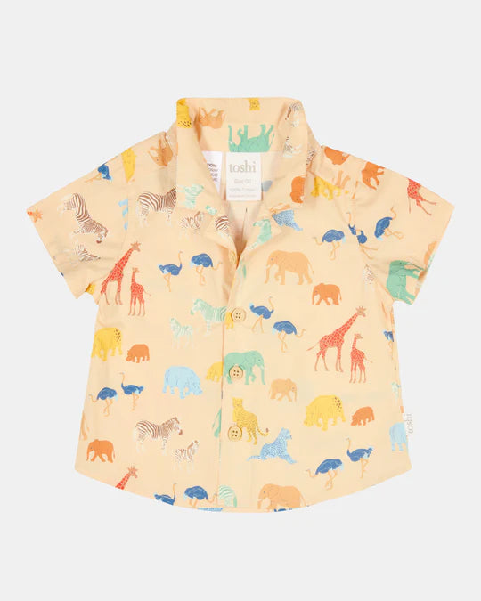 Shirt Banjo