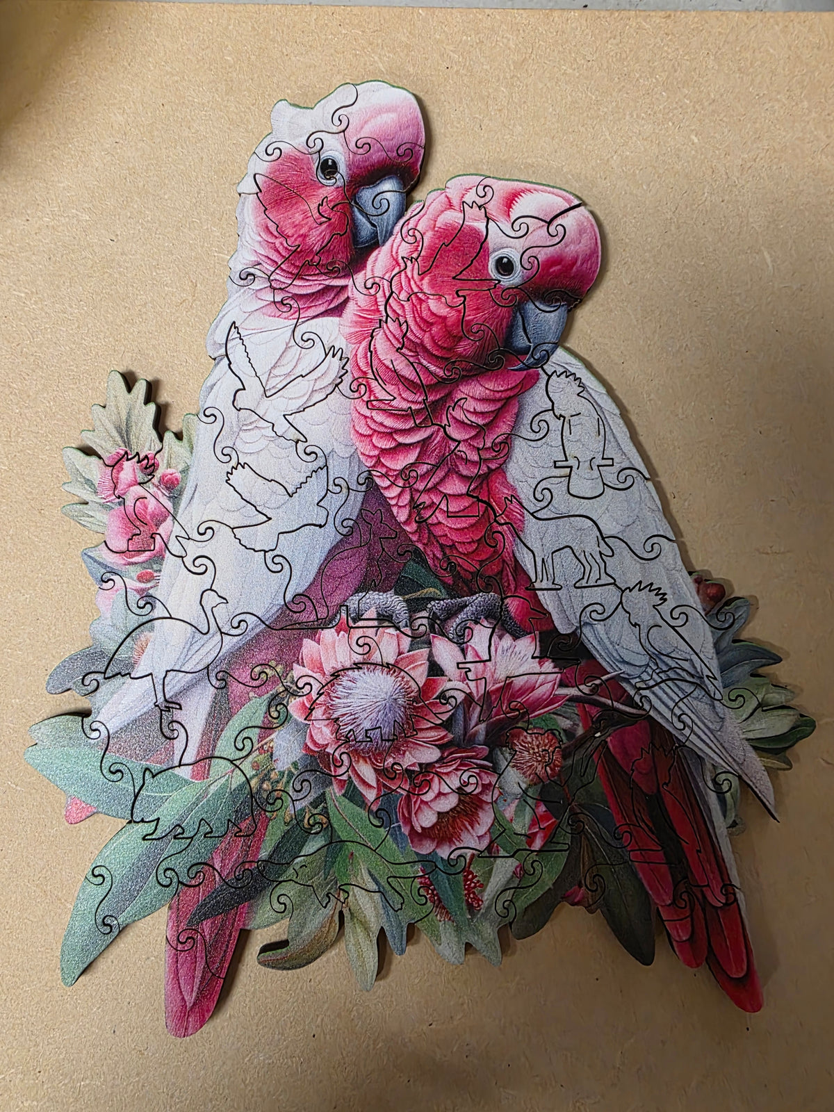 Galah Pair Wooden Puzzle